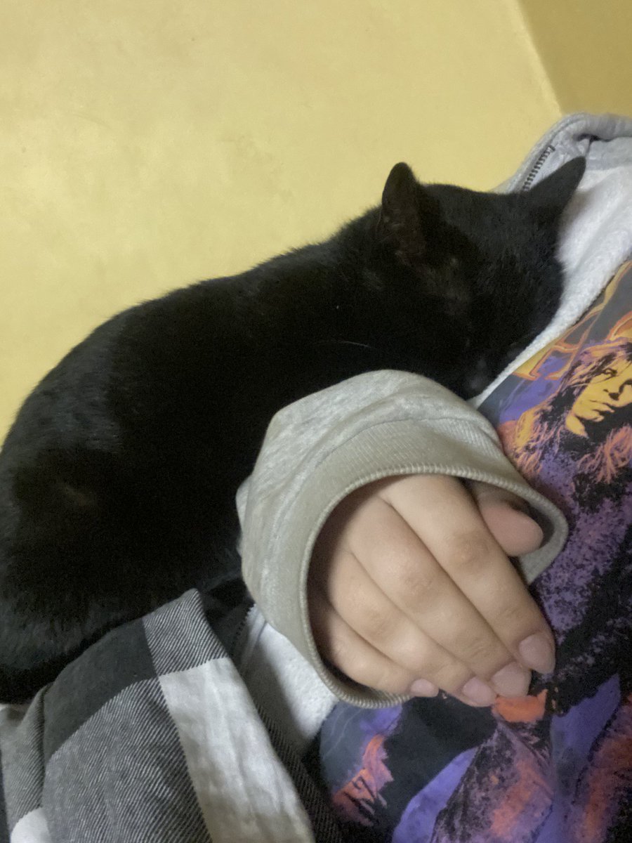 Жульєтта🧛🏻‍♀️ tweet media