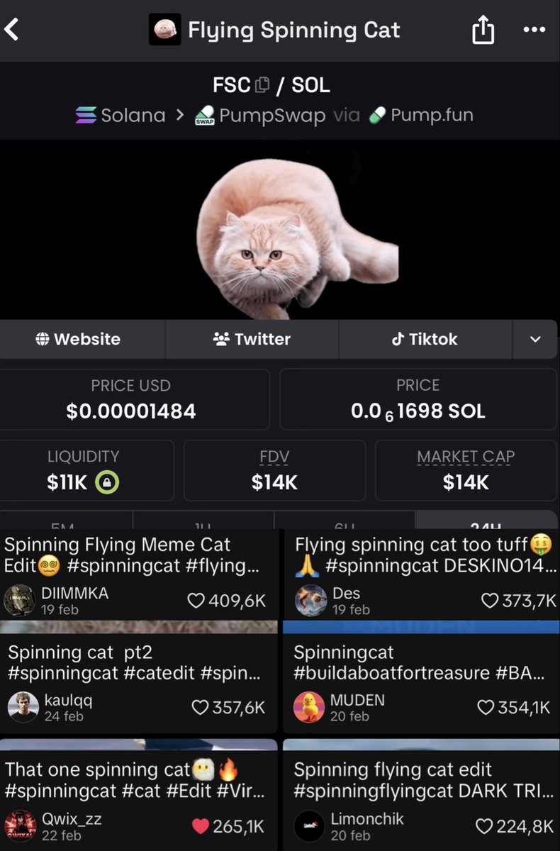 Flying Spinning Cat CTO tweet media