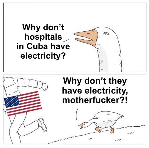 679 Enthusiast tweet media