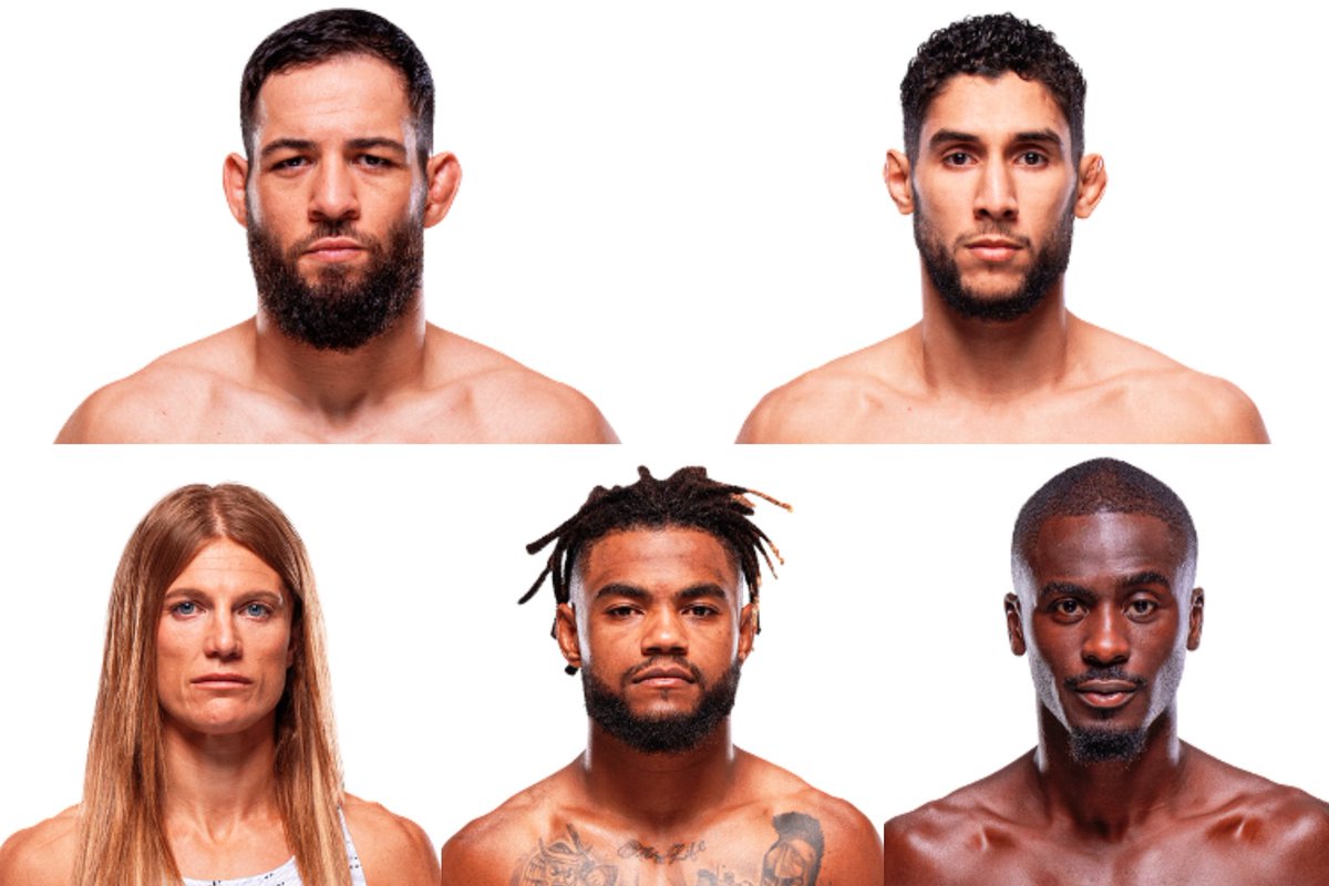 𝐦𝐚𝐧𝐧𝐲 𝐟𝐞𝐫𝐧𝐚𝐧𝐝𝐞𝐬 tweet media