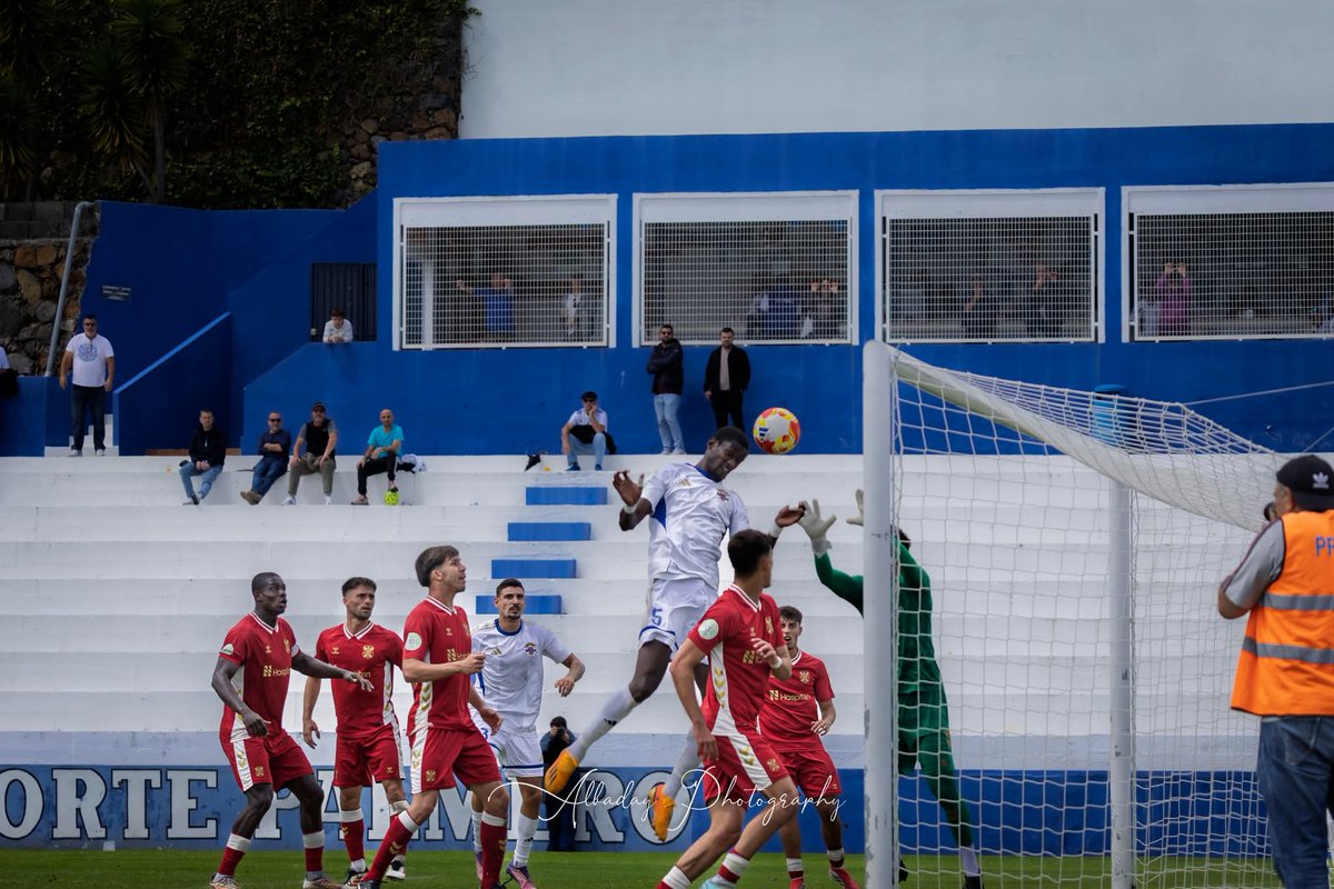 S. D. Tenisca tweet media