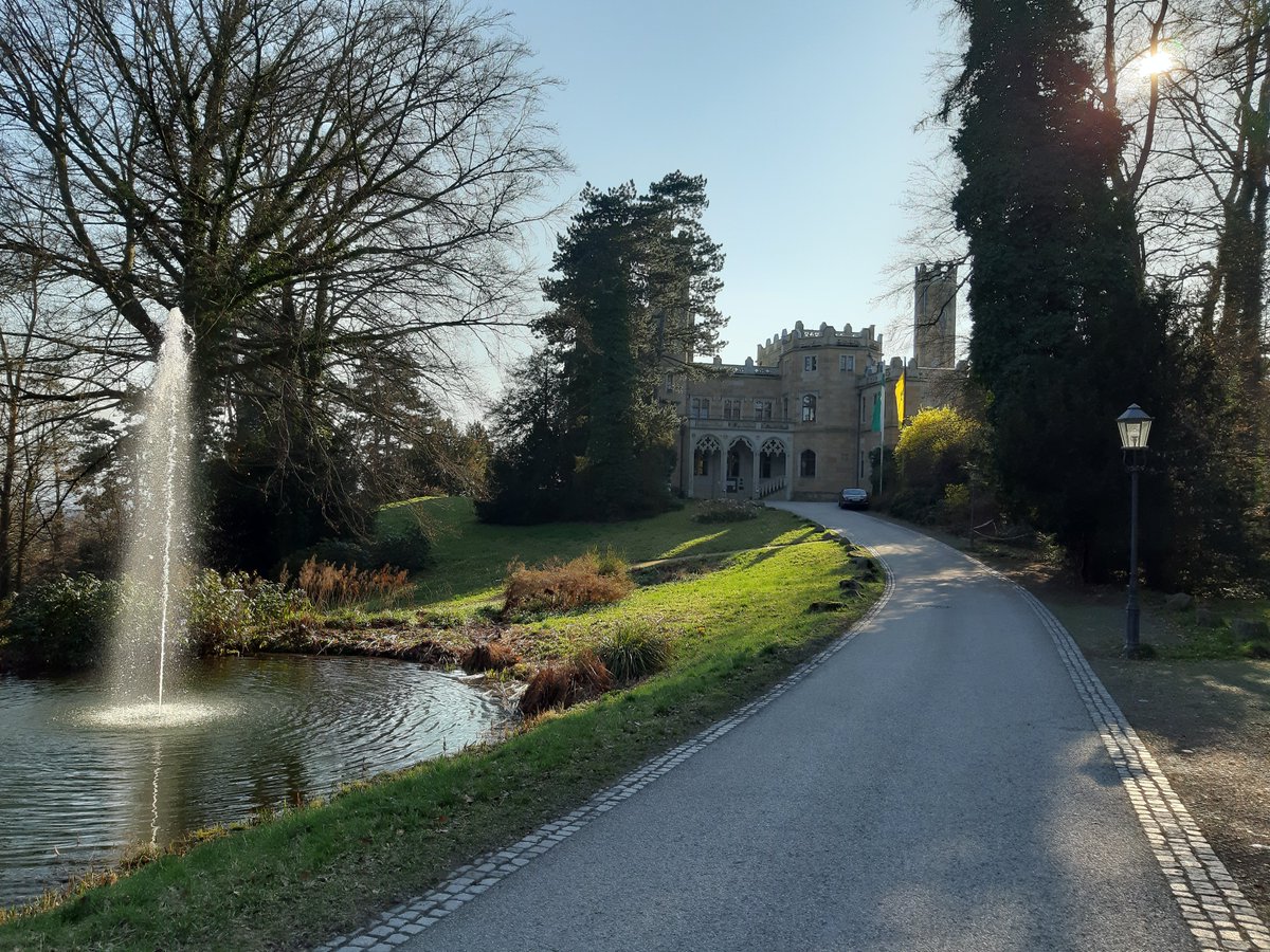 Lieber Scholli tweet media