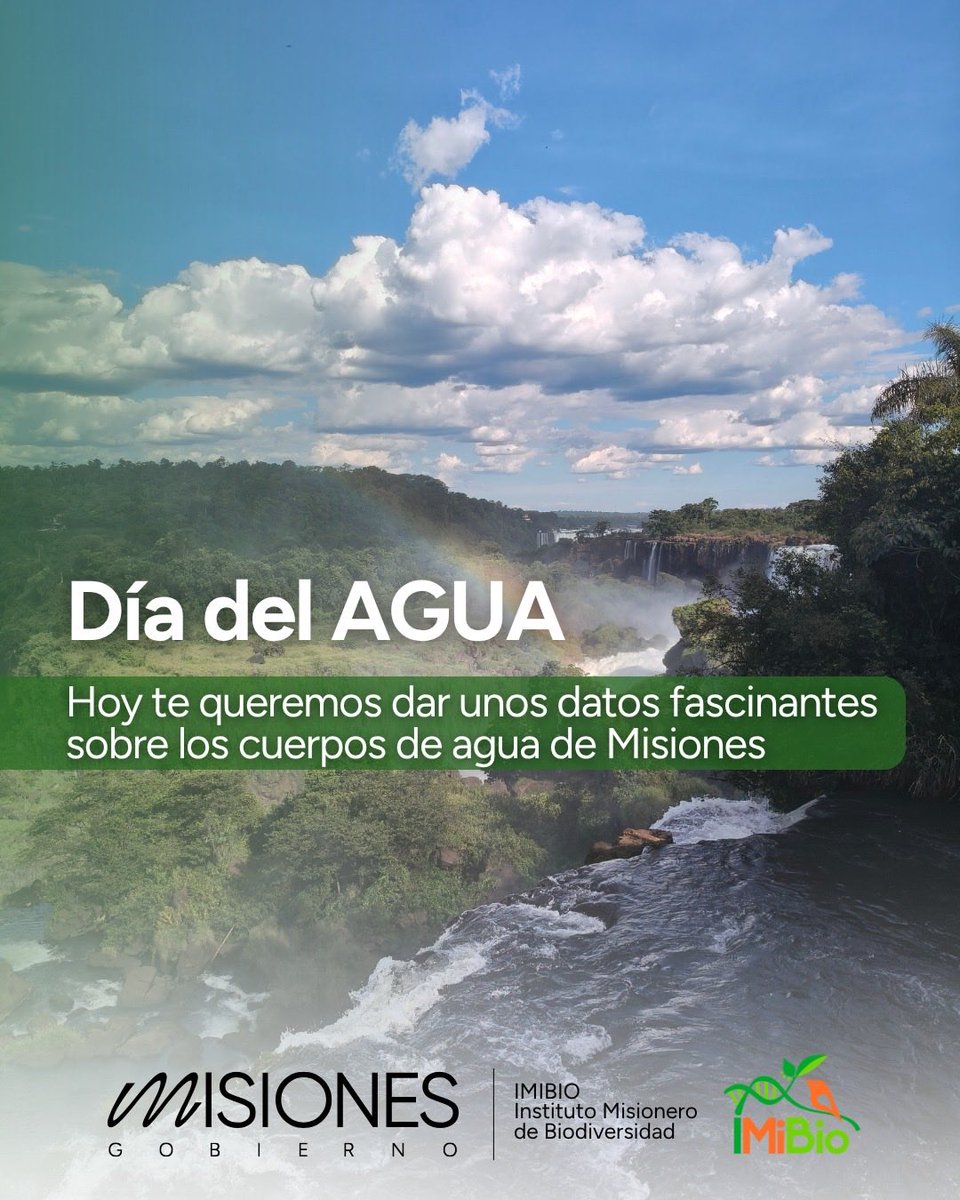 Instituto Misionero de Biodiversidad tweet media