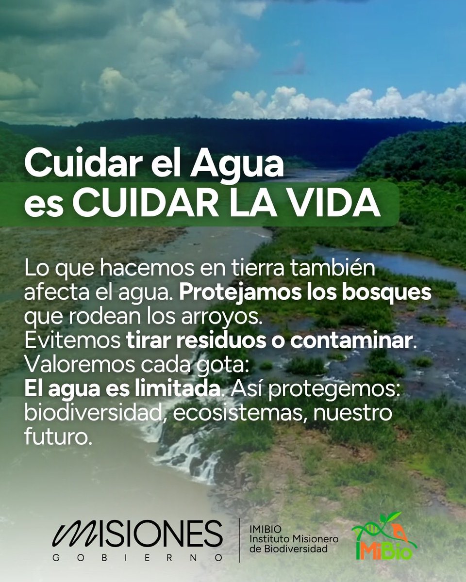 Instituto Misionero de Biodiversidad tweet media
