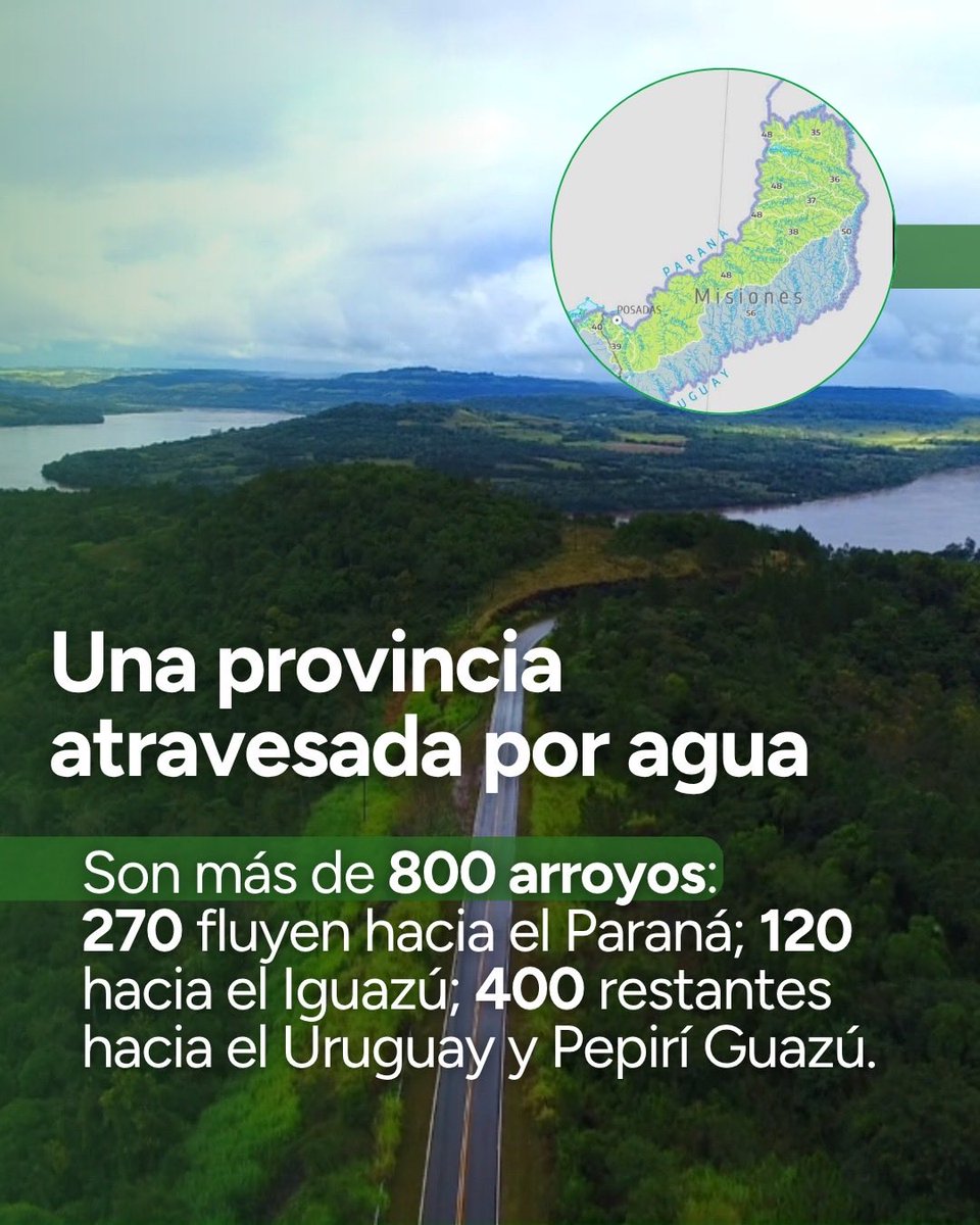 Instituto Misionero de Biodiversidad tweet media