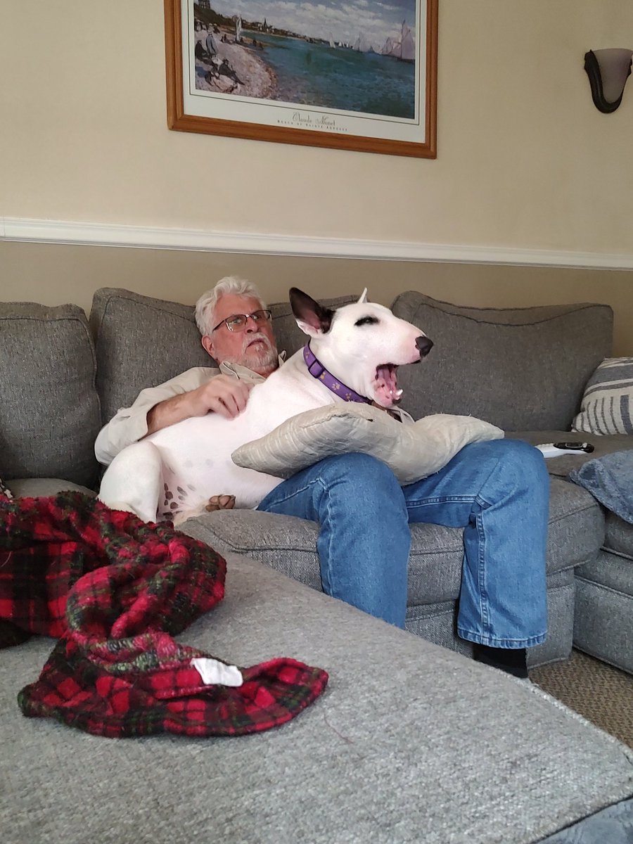 Spike The Rescue Pup & Rex The TV Terrier ®🌈🐾 tweet media