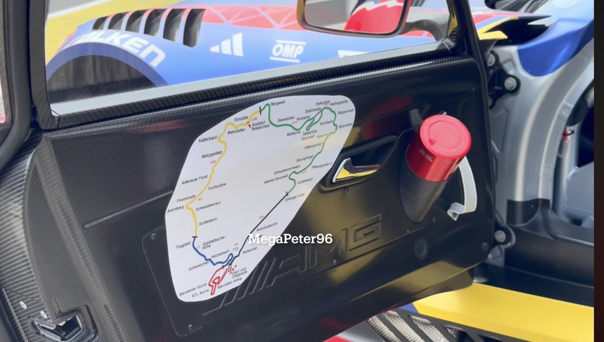 Ana 🦁 tweet media