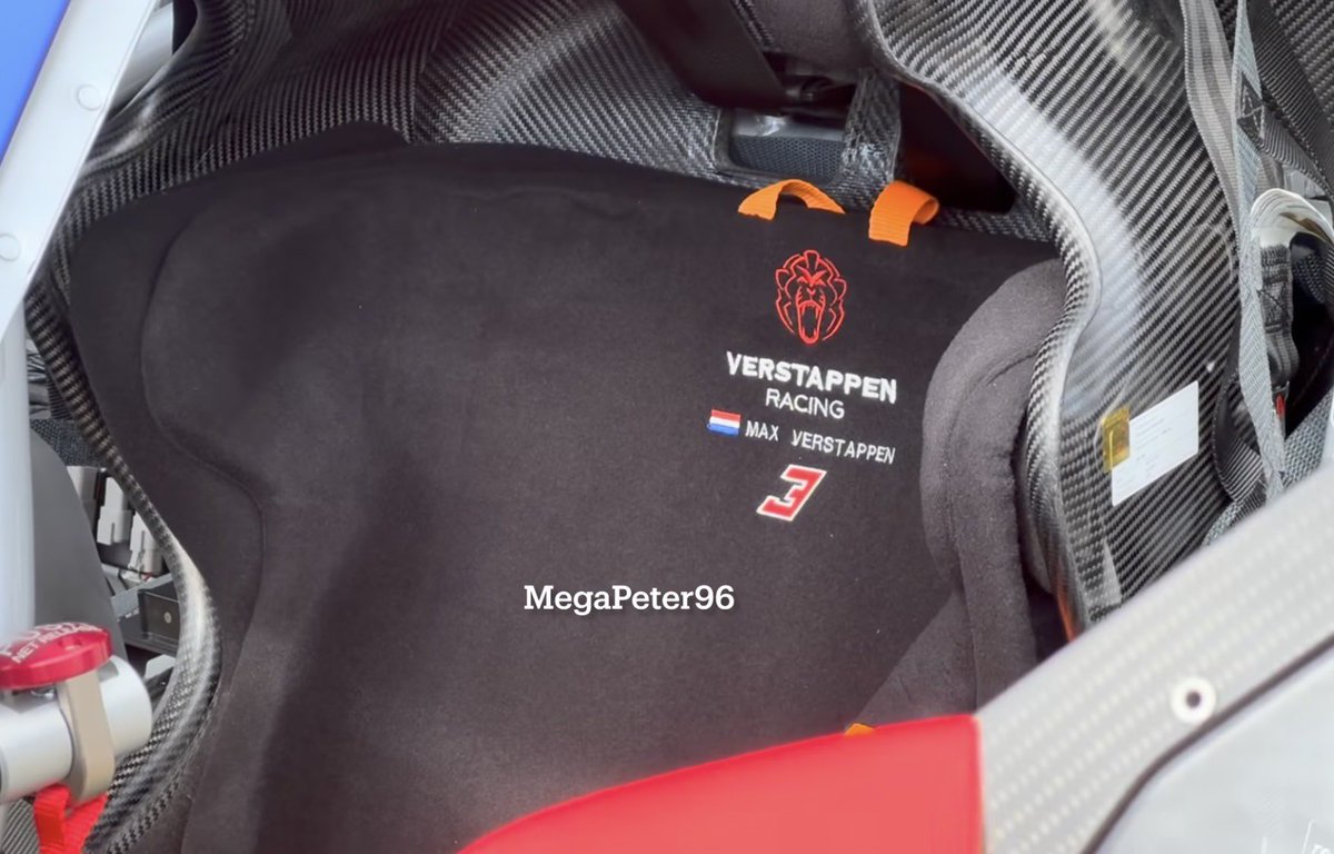 Ana 🦁 tweet media