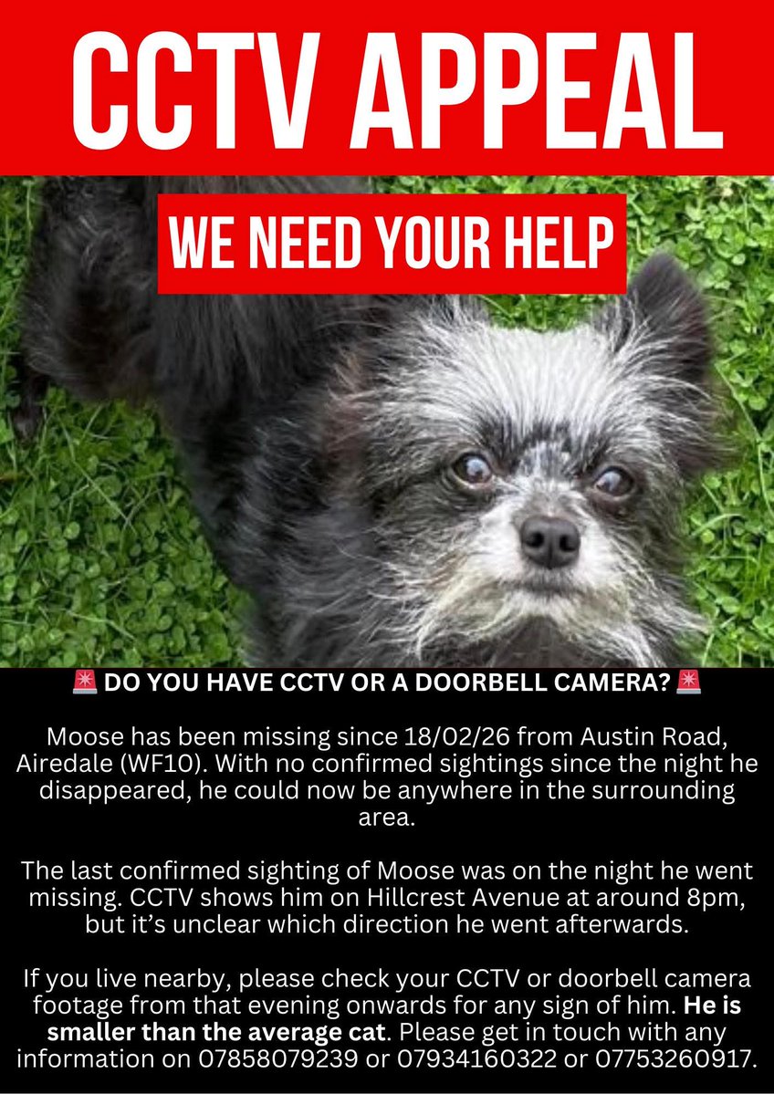 Missing Pets GB tweet media