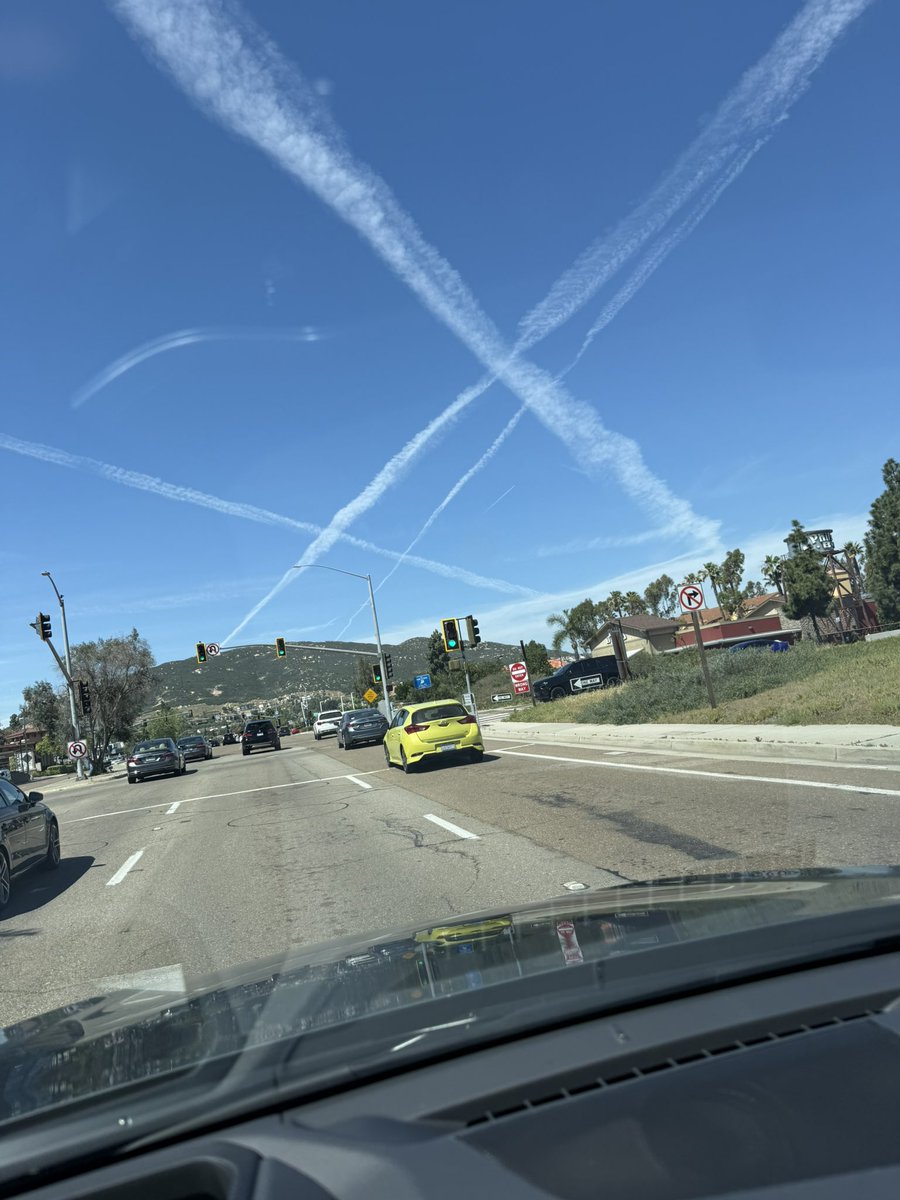 Maresy Dotes tweet media