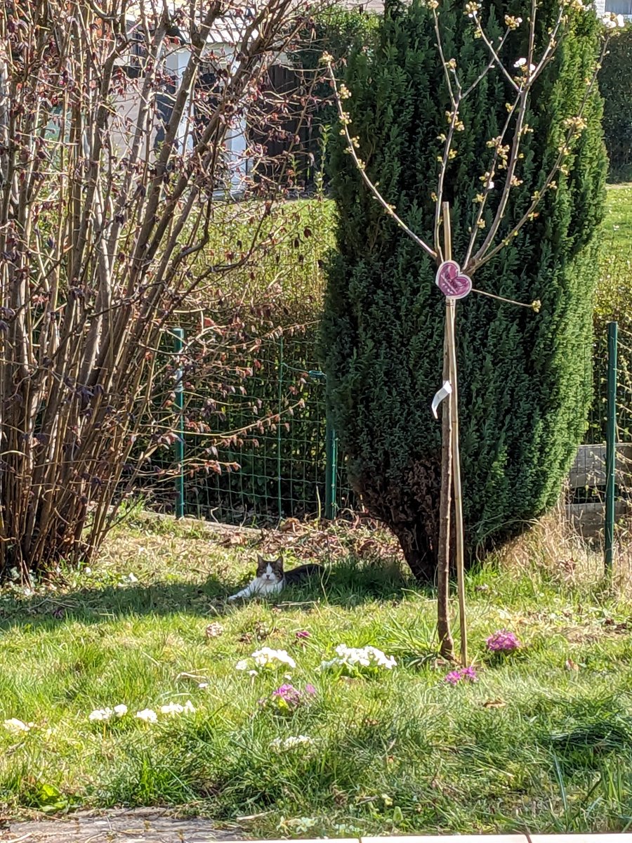 Tkilla Biotech ☣ tweet media