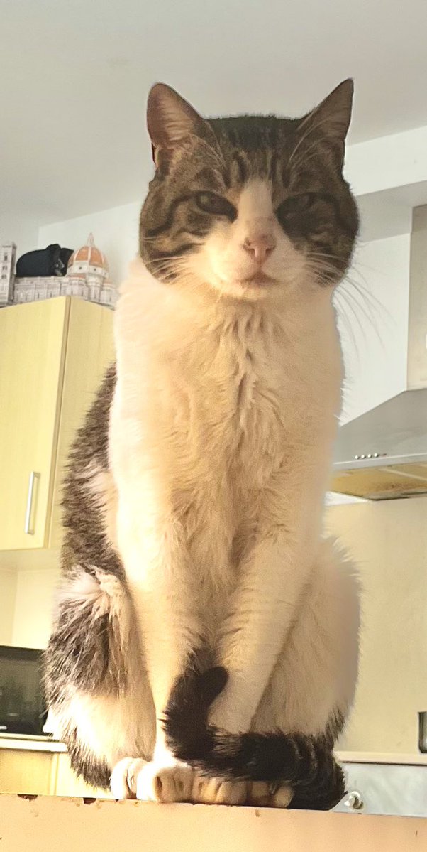 Emiliano Flüsse tweet media