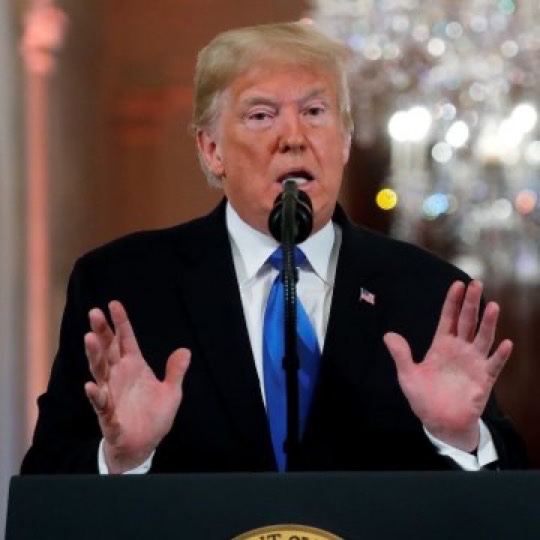 CryptoGoos tweet media