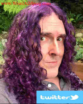 Benchwarmed tweet media