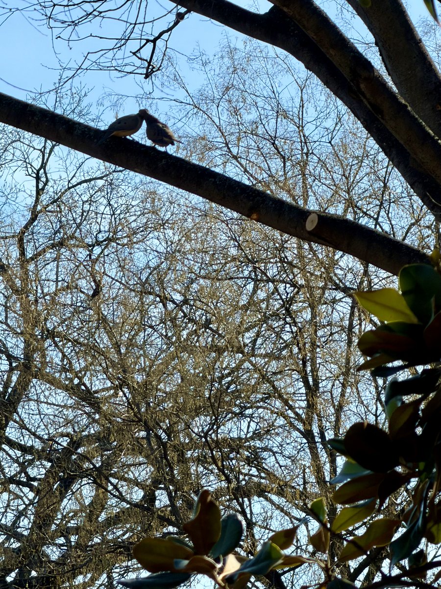 Harmeet K. Dhillon tweet media