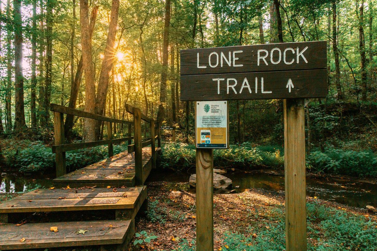 Tennessee Vacation tweet media