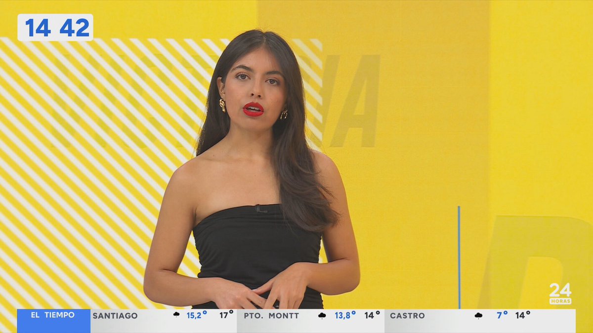 Diana Allendes tweet media