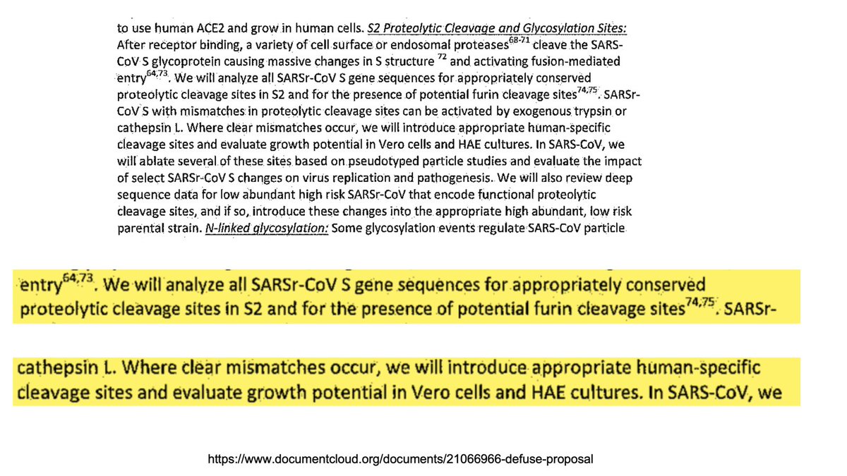 Matt Ridley tweet media