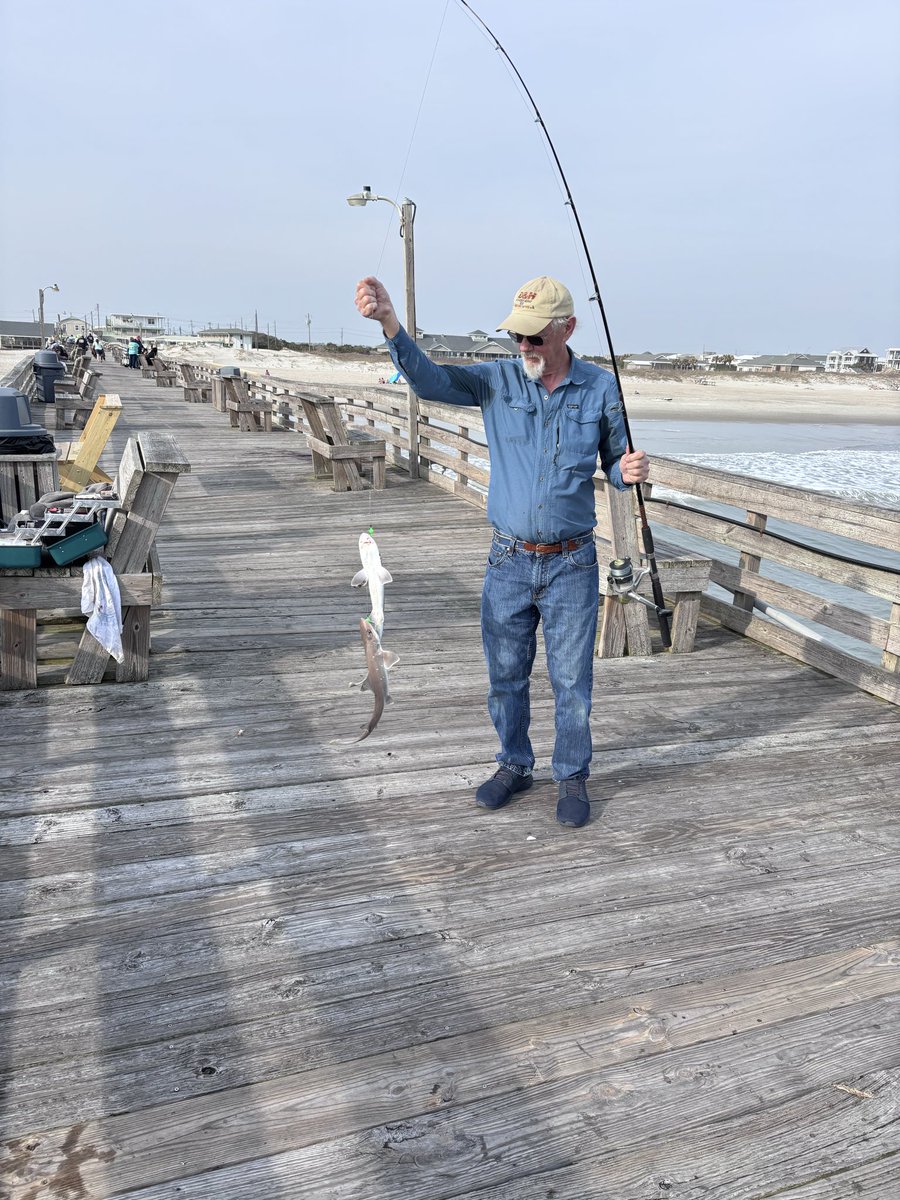 MadMax583 tweet media