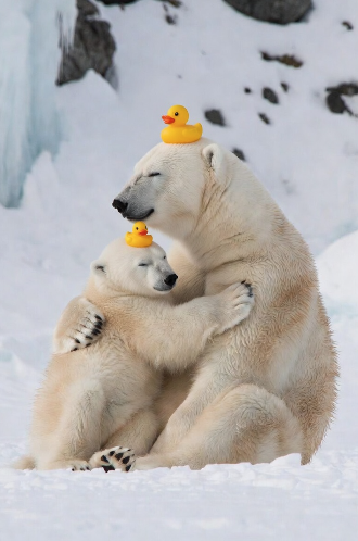 Famous In My Phone🔥 tweet media