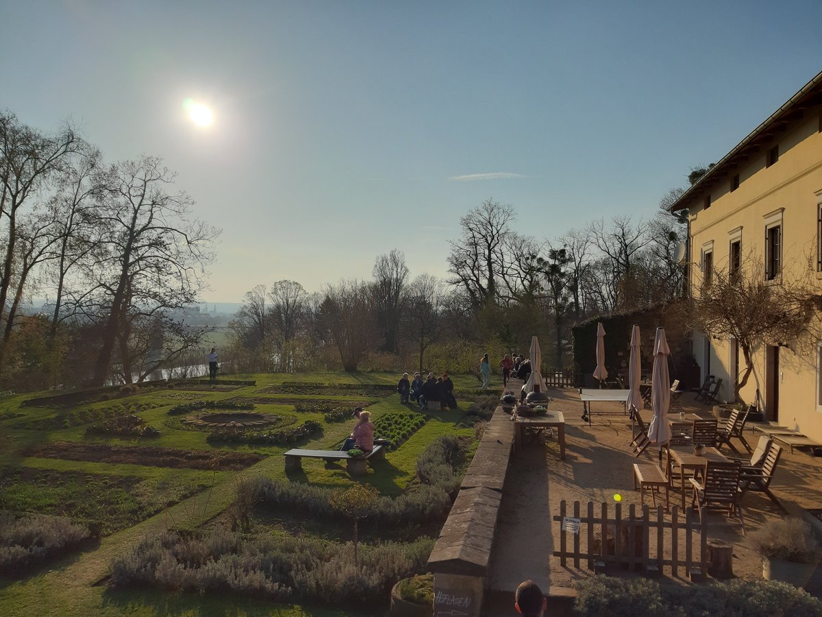 Lieber Scholli tweet media