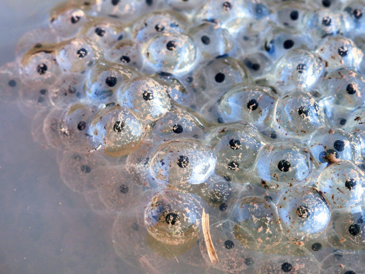 Ellie 🌲🌼🦜 tweet media