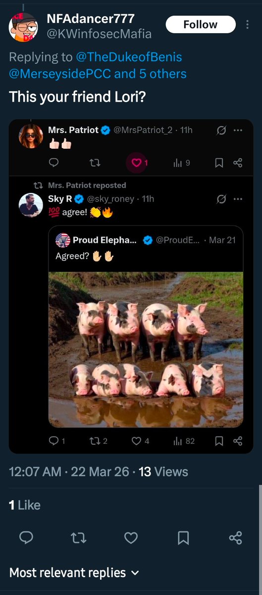 ✨️Year Of The Queen✨️ tweet media