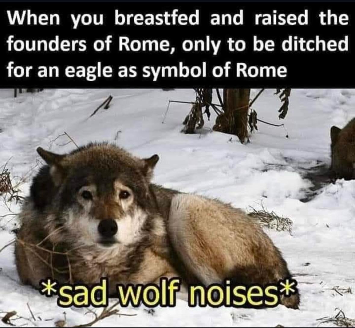 Modern Barbarian tweet media