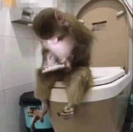 Pilli Bebek🇵🇸 tweet media