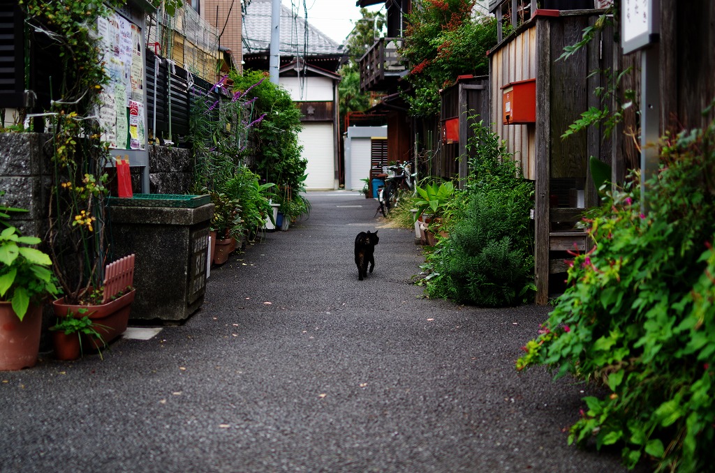 イツカノドコカ tweet media