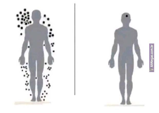 Benny the Dog tweet media