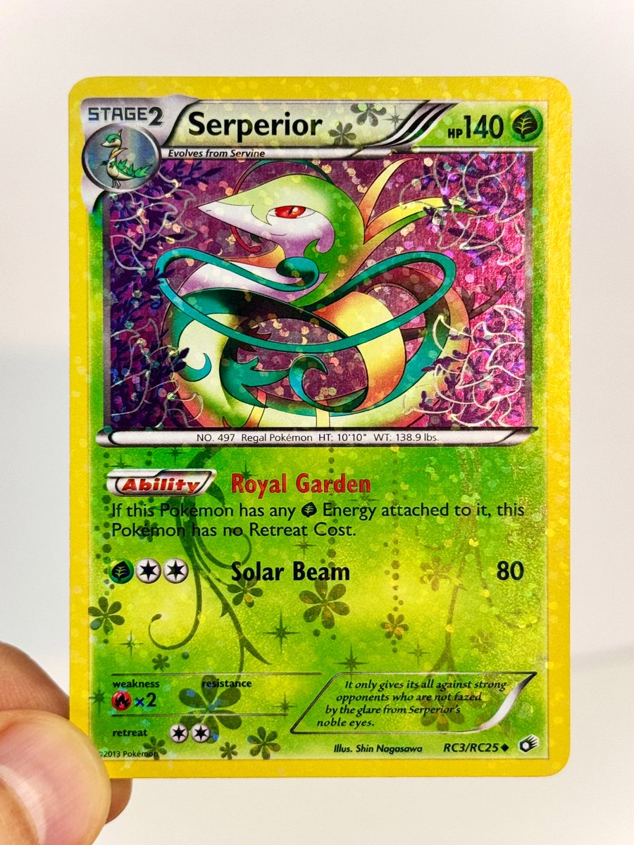 TCG Family tweet media