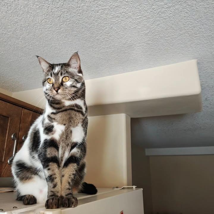 𝑝𝑢𝑟𝑒 tweet media