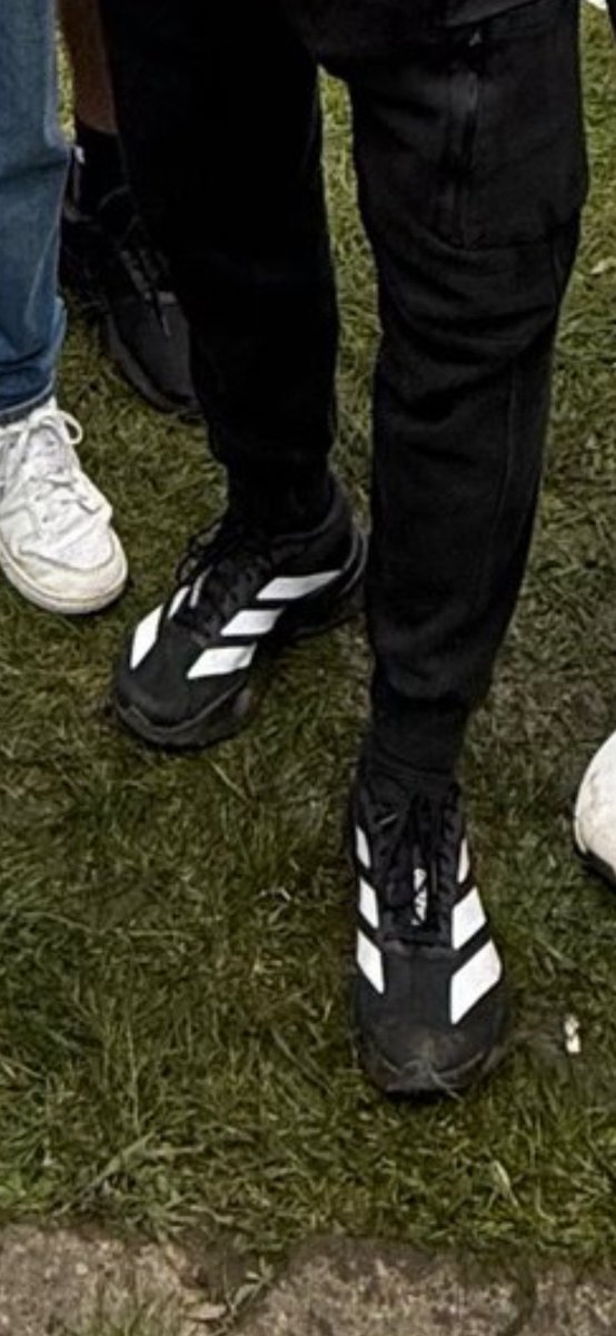 Zirkwood tweet media