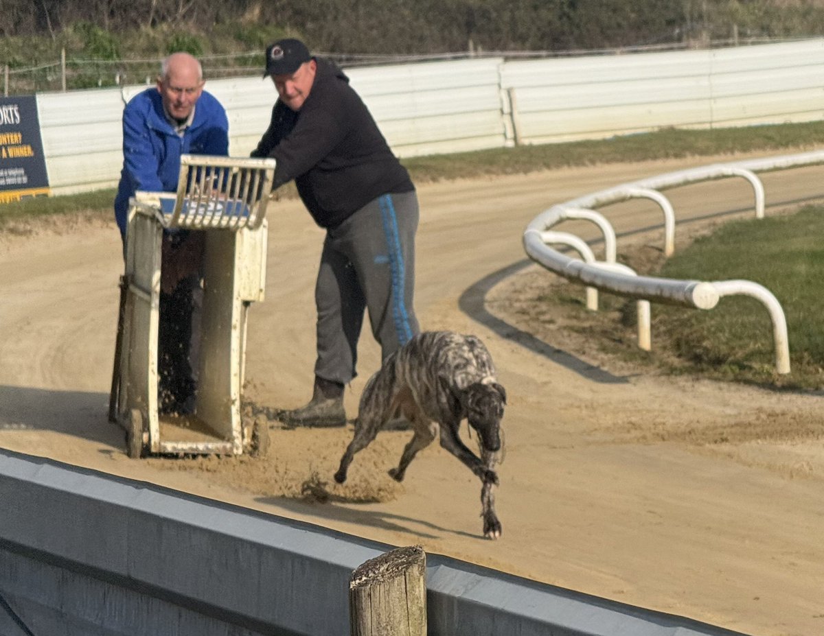 Livi_Noble's tweet photo. Bailey 🥃🐾 today at Bicester
#BritishBreeding
Dorotas Wildcat x Laughil Jess - Jan 25 https://t.co/Hzhkg9vxcr