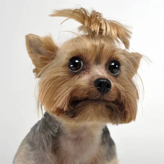 📮❤️‍🔥 tweet media