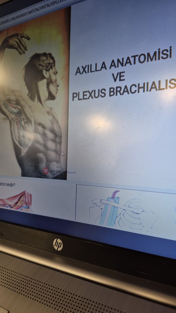 Makhaony tweet media