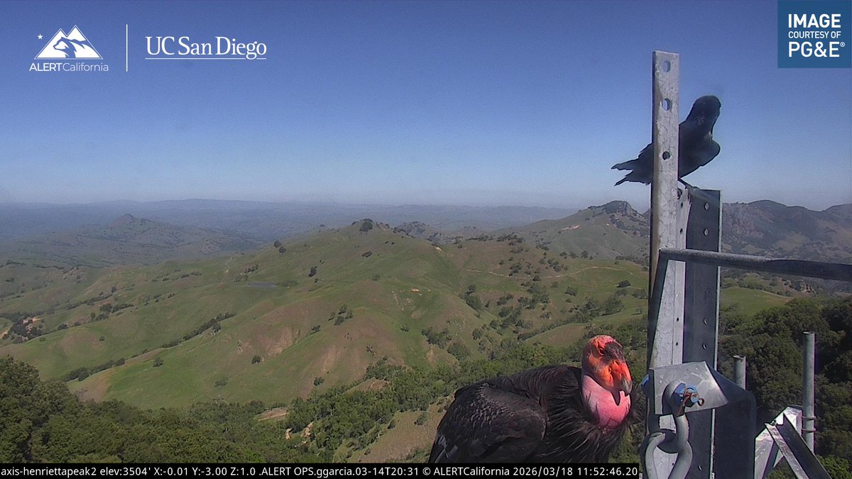 ALERTCalifornia tweet media