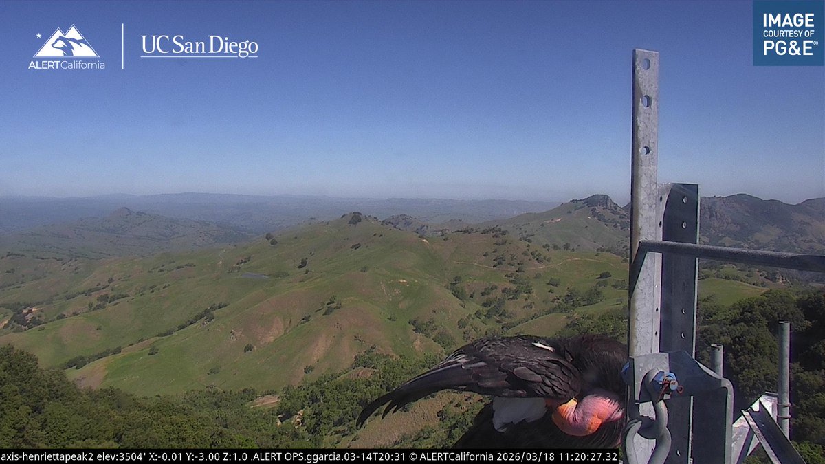 ALERTCalifornia tweet media