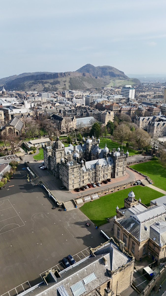 Rose 🌹 tweet media