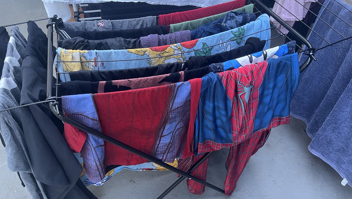 pingu 🐧 tweet media