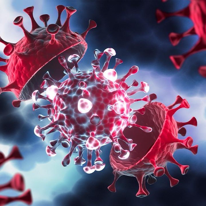 Opsiyonlu Kiralık tweet media