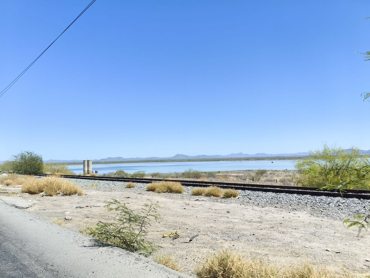 El Sol de Hermosillo tweet media