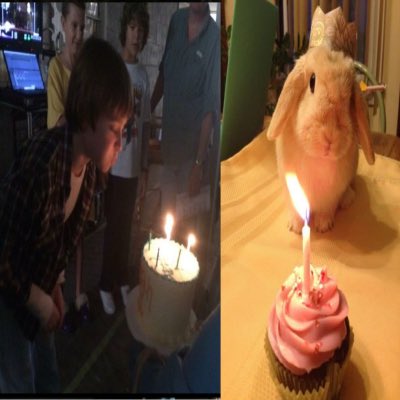 ana lvs will tweet media