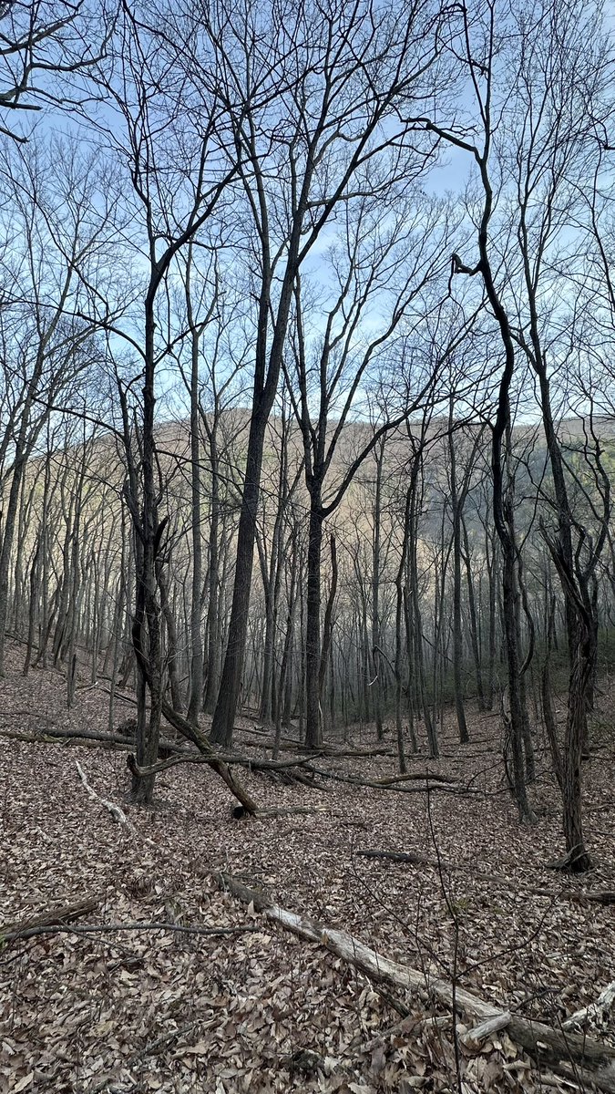 HikingLawyer's tweet photo. Back from another weekend in @ShenandoahNPS … 20 miles of trail and 5,000 feet of climbing.  Until next time!

#nationalparks #solohike #outdoors https://t.co/LrFZhZQWAU