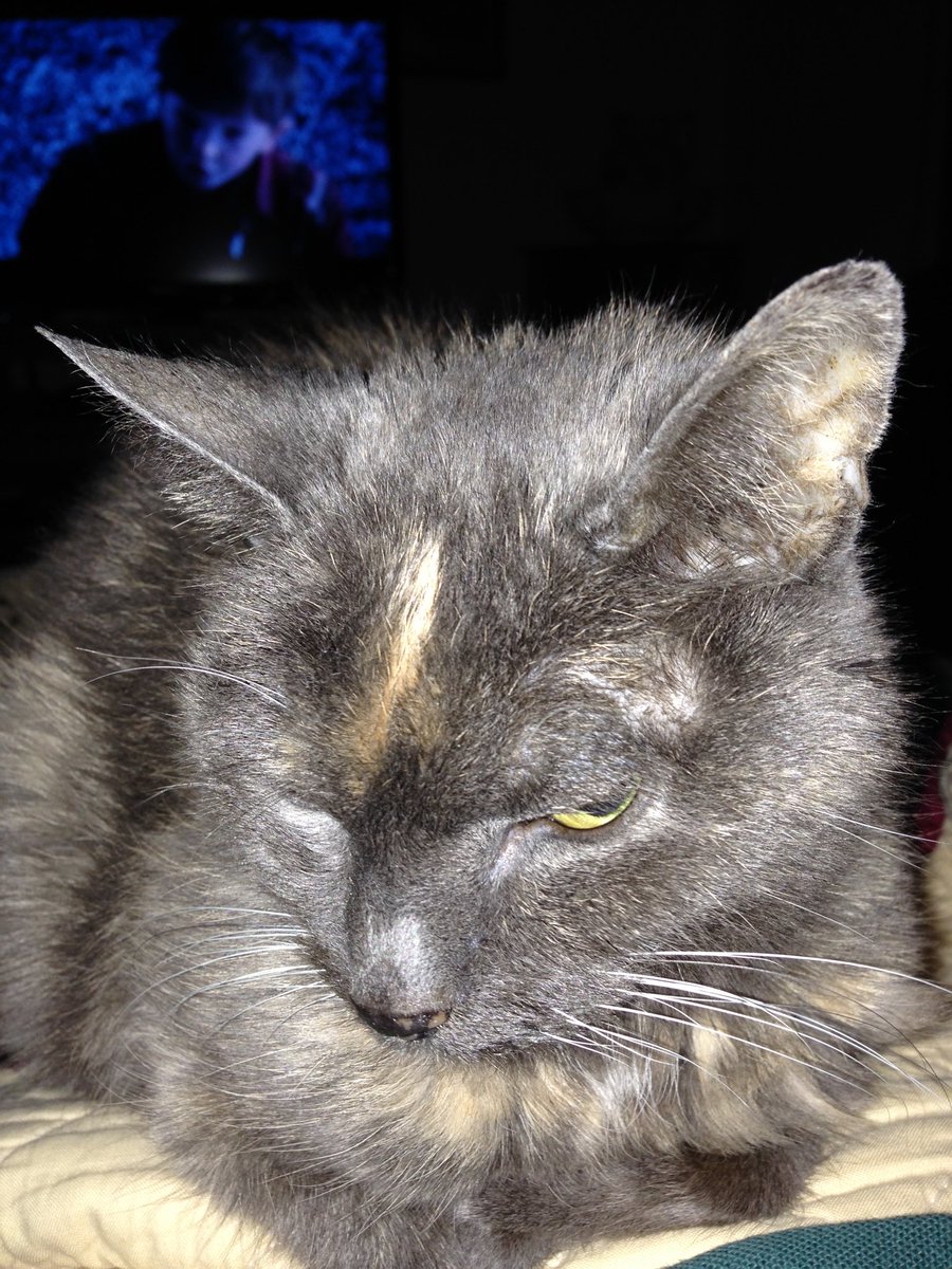 🌸MinqiB🌸 tweet media