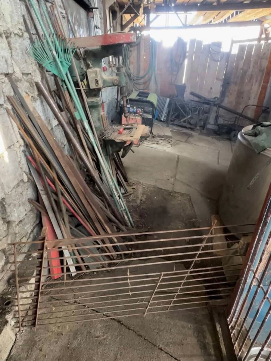 Robwalka Wolf tweet media