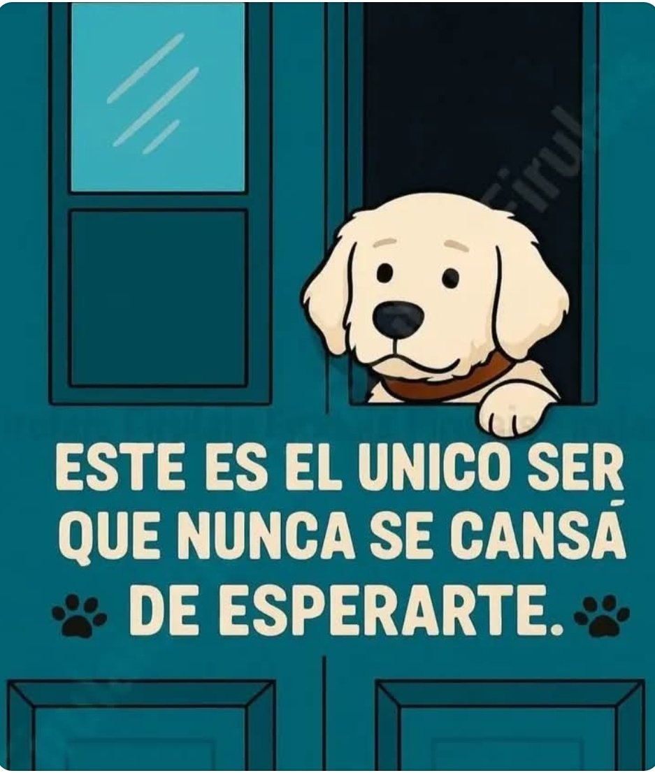 Manu Saenz💛💛 tweet media