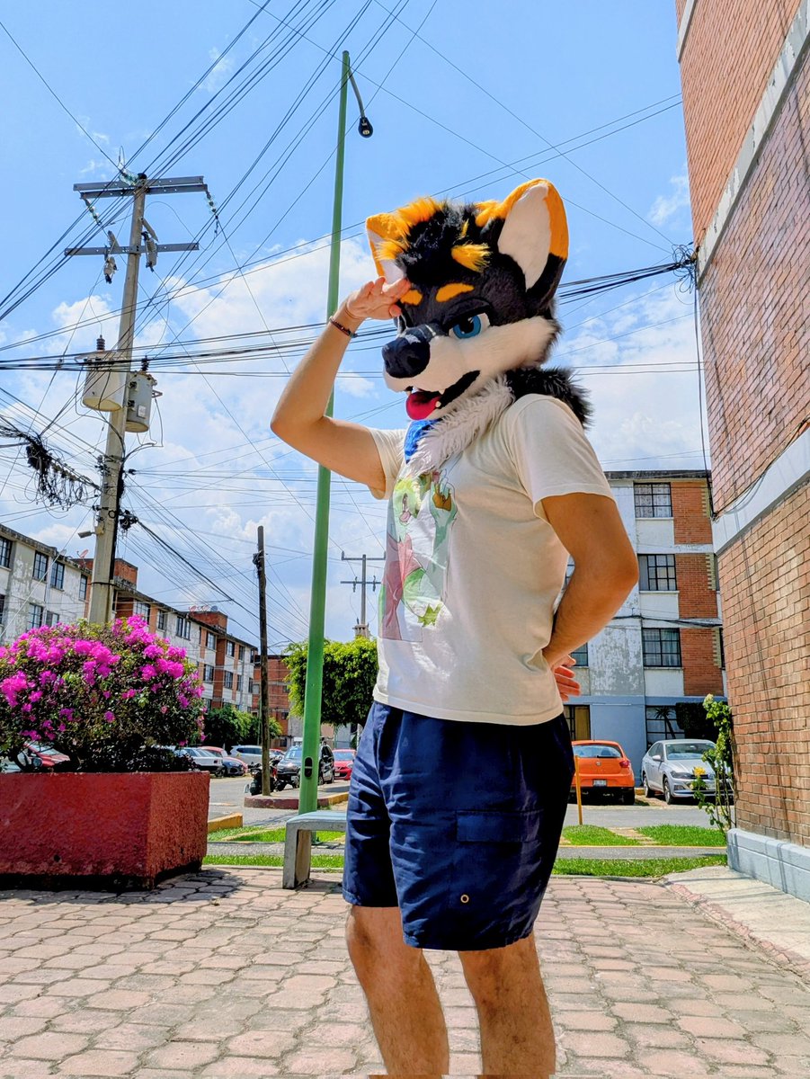 Méxinu 犬 tweet media