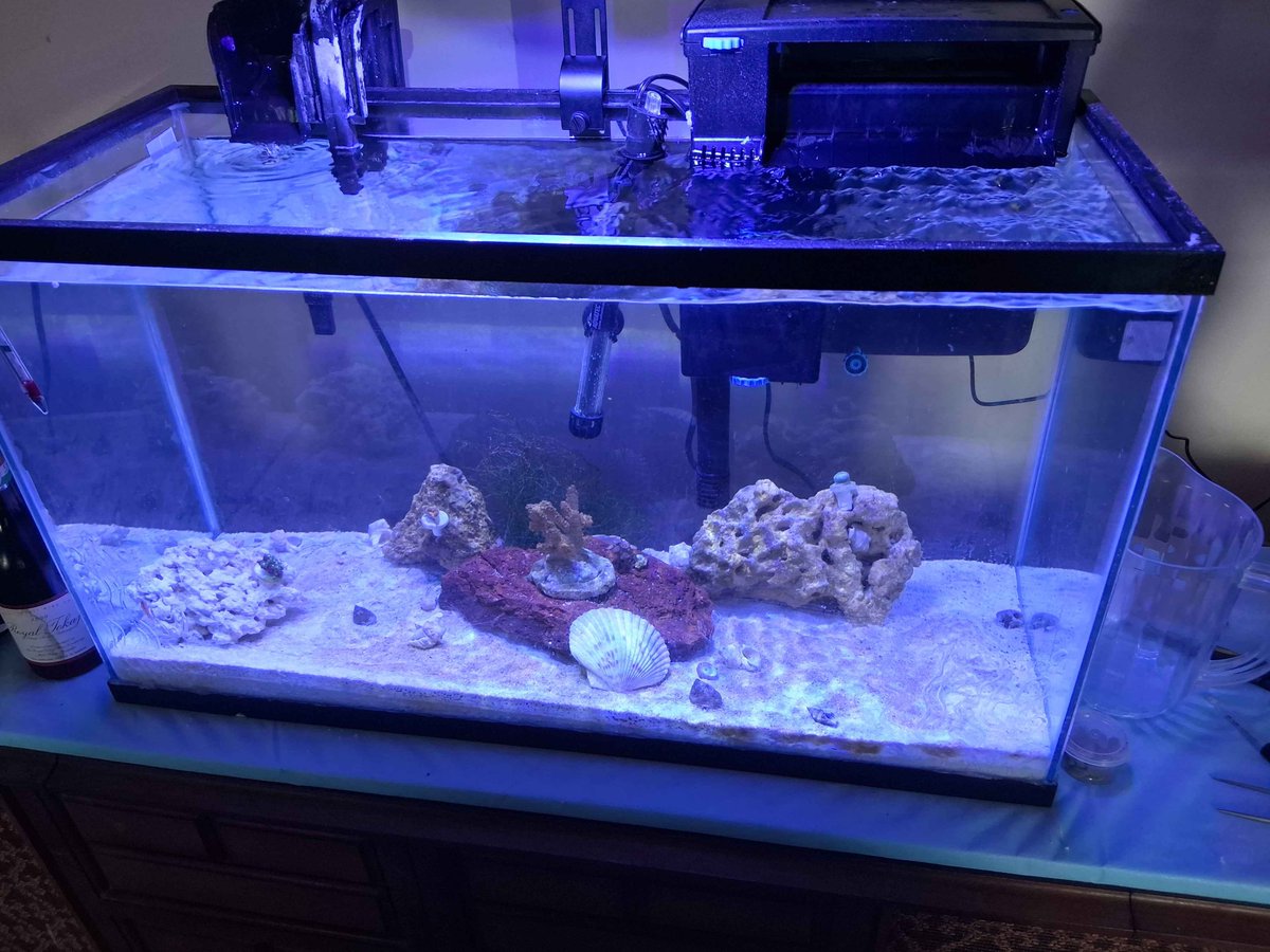 Don_MusaVT tweet media